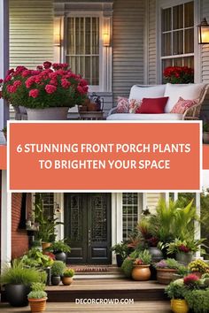 Cozy front porch adorned with vibrant plants including red flowers and a variety of greenery, adding charm to the home's entrance. Front Garden Pots Entrance, Plants Outside Front Door, Front Porch Plants Year Round, Front Porch Plant Ideas, Cottage Front Porch, Front Porch Flower Pots, Apartment Front, Front Door Plants, Front Porch Plants