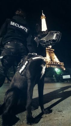 a police officer walking his dog in front of the eiffel tower at night