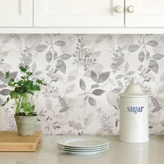 a kitchen counter with plates and cups on it, next to a wallpapered backsplash