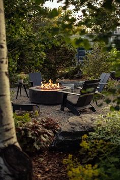 an outdoor fire pit surrounded by trees and chairs in the middle of a gravel area