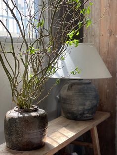 a vase with branches in it sitting on a shelf next to a lamp and window