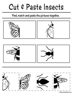 cut and paste insects worksheet for kids to learn how to make them look like they