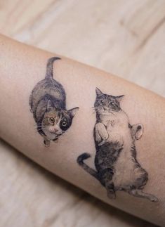 two cats are on the arm and one is sitting