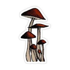 some brown mushrooms are growing on the side of a white sticker that is in front of a white background