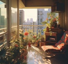 an apartment balcony with potted plants on the windowsill and city buildings in the background