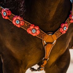 a close up of a horse's bridle with red flowers on it