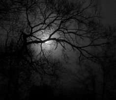 the moon is shining through the trees in the dark night sky, with no leaves on it