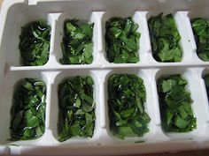 several trays filled with green vegetables on top of a table