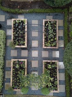 an aerial view of several raised garden beds with plants growing out of them in the ground