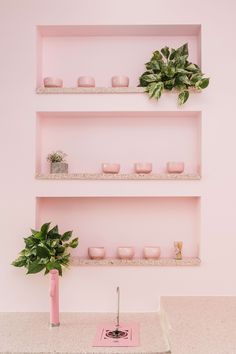 pink shelves with plants and candles on them