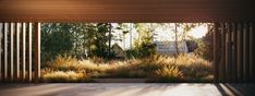 an empty room with wooden slats on the floor and trees in the background at sunset