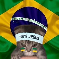 a cat with a hat on its head in front of a flag and the words, order e progress 100 % jesus