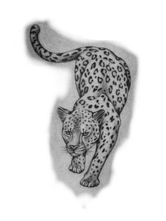 a black and white drawing of a leopard