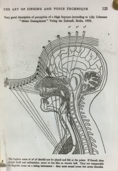 an old diagram of the human head and neck