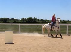 a person riding on the back of a white horse next to a white pole and fence