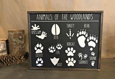 an animal's footprints are displayed on a black board next to pine cones and logs