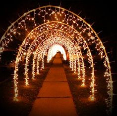 an archway covered in christmas lights at night