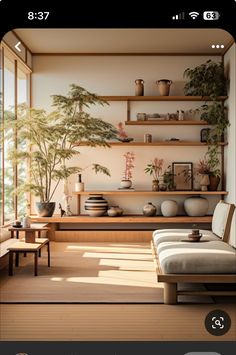 a living room filled with lots of furniture and plants on shelves next to a window