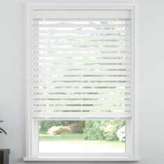 a window with white blinds in it and a potted plant next to the window