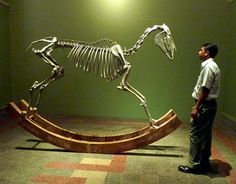 a man standing next to a horse skeleton in a room with green walls and carpet