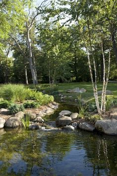 a small pond surrounded by rocks and trees