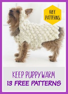 a small dog wearing a sweater with the words keep puppy warm and free patterns