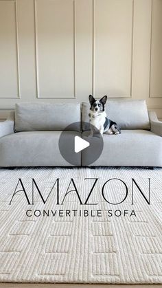 a dog sitting on top of a couch in a living room