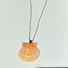 Rare Finds are truly one of a kind! You will receive the exact seashell pictured. Click on a number to view each rare find. Updated every month! Chain Length: 18 inches (Second photo for size reference) Chain Material: 16k Gold Plated Brass! Ocean-inspired Shell Necklace With Lobster Clasp, Shell Necklace With Lobster Clasp, Shell Necklace With Lobster Clasp As Gift, Shell Jewelry With Lobster Clasp As Gift, Ocean-inspired Shell-shaped Necklace With Lobster Clasp, Gold Seashell Necklace, Tiny Gold Hoop Earrings, Dainty Pearl Necklace, Gold Pearl Ring