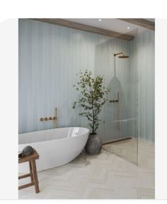 Blue Feature Wall Bathroom, Master Bath Small Space, Large Walk In Showers Master Suite Tile, Primary Bath Mood Board, Modern Tile Bathroom Floor, Tile Accent Wall Behind Bathtub, Scandi Powder Room, Bathroom Ideas Shower Walk In, Quartz Shower Walls One Piece