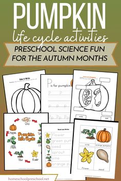 pumpkin life cycle activities for preschool and homeschool students to practice the autumn months