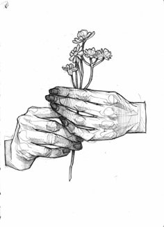 a drawing of two hands holding a small plant with flowers in the middle of it