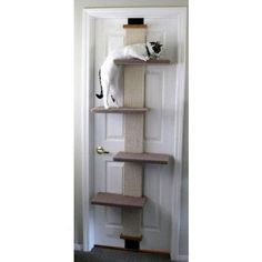 a cat climbing on top of a scratching tower