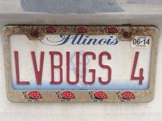 the license plate for illinois's lybugs 4 has ladybugs on it