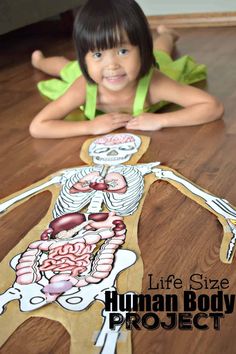 Teaching Prek, Human Body Unit Study, Body Parts For Kids, Human Body Worksheets, Human Body Projects, Free Human Body, Human Body Model, Body Preschool, Human Body Science