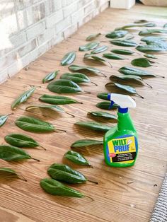 a green spray bottle sitting on top of a wooden floor next to leaves and a brick wall