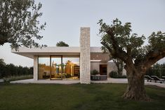 a modern house with large glass windows and trees in the front yard at night time