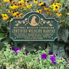 a sign in the middle of some flowers and plants that are blooming around it