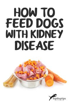 Dog Kidney Disease Diet 101: Evidence-based Guidelines on Feeding Cheesy Chicken Broccoli, Broiled Chicken, Boiled Chicken, Roasted Chicken Breast, Raw Diet