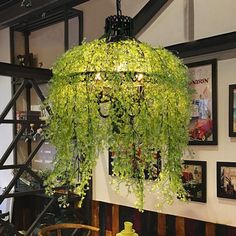 a green chandelier hanging from the ceiling in a room with pictures on the wall