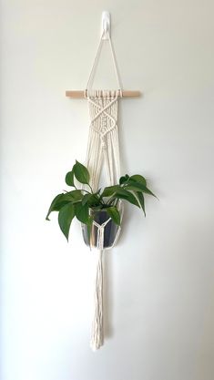 a potted plant is hanging on the wall with a macrame hanger