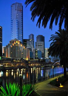 the city skyline is lit up at night with palm trees and lights reflecting in the water