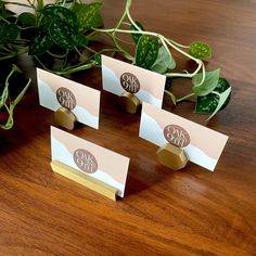 four place cards with the word mr and mrs on them are sitting next to a potted plant