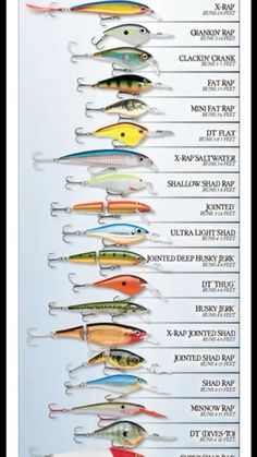 the different types of fishing lures are shown in this chart, with names and descriptions