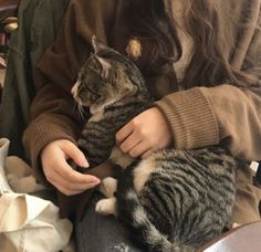 a woman is petting a cat while sitting on her lap and holding it in her hands