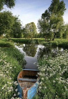 there is a boat that is sitting in the grass by the water and some flowers