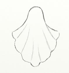 a drawing of a shell on a white paper