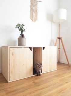 a cat hiding in a wooden cabinet next to a floor lamp and potted plant