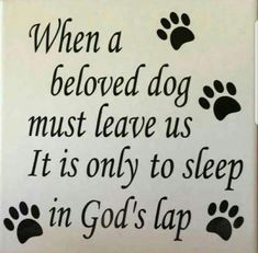 a sign that says when a beloved dog must leave us it is only to sleep in god's lap