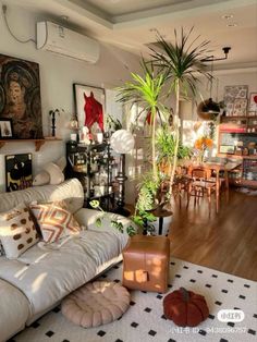 a living room filled with furniture and lots of plants on top of a hard wood floor