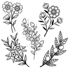 four different types of flowers with leaves and buds on the stems, one is black and white